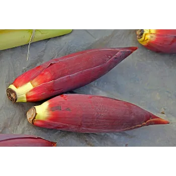 Banana Flowers 